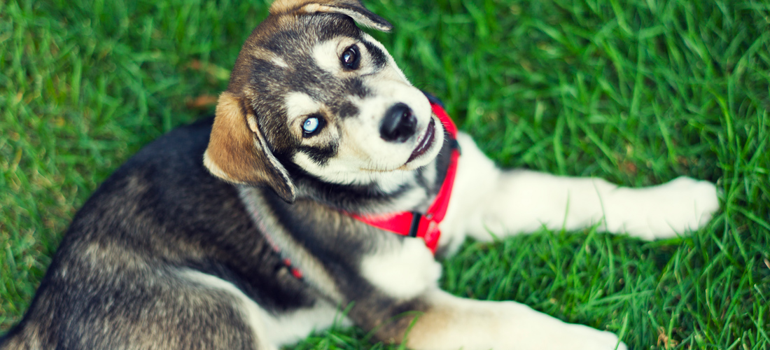 服务器攻击方式